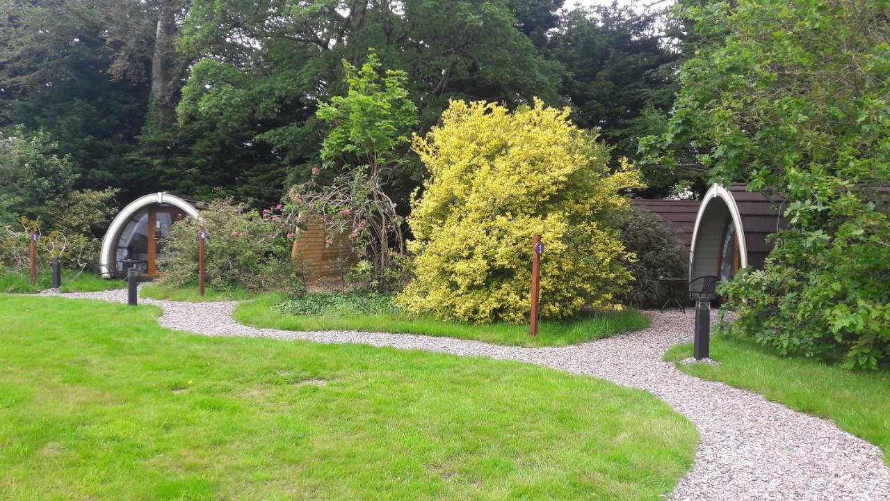 Priory Glamping Pods And Guest Accommodation Killarney Buitenkant foto