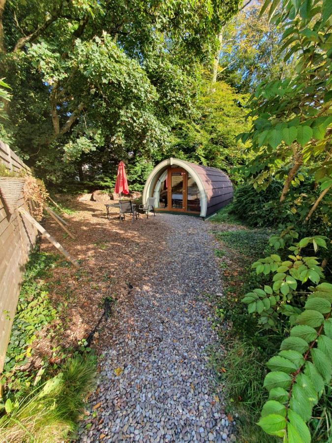 Priory Glamping Pods And Guest Accommodation Killarney Buitenkant foto