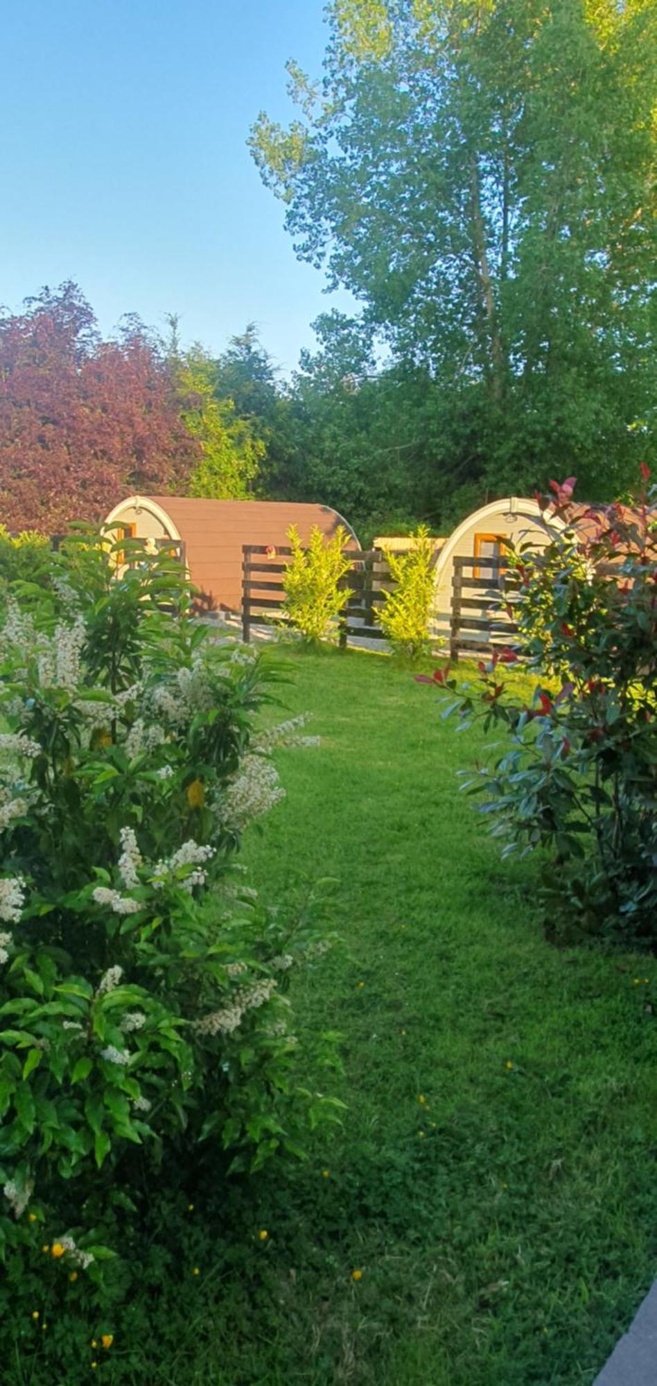 Priory Glamping Pods And Guest Accommodation Killarney Buitenkant foto