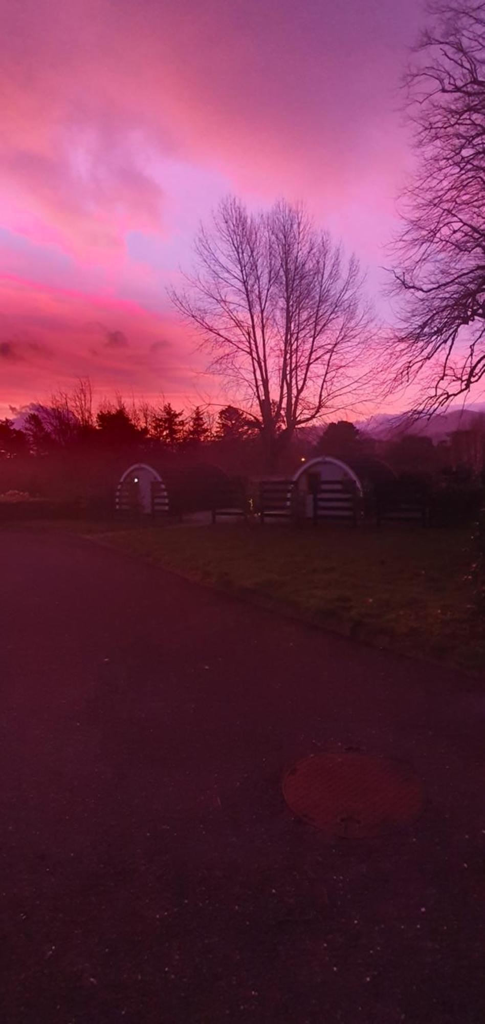 Priory Glamping Pods And Guest Accommodation Killarney Buitenkant foto