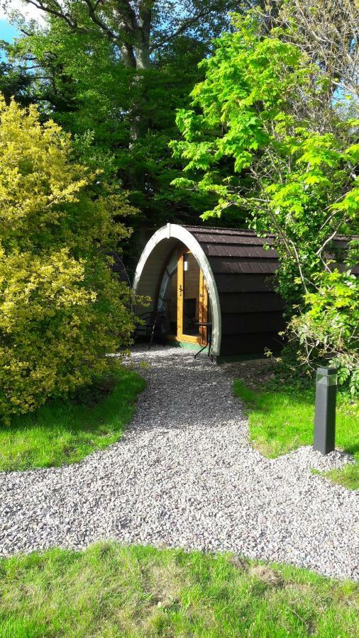 Priory Glamping Pods And Guest Accommodation Killarney Buitenkant foto