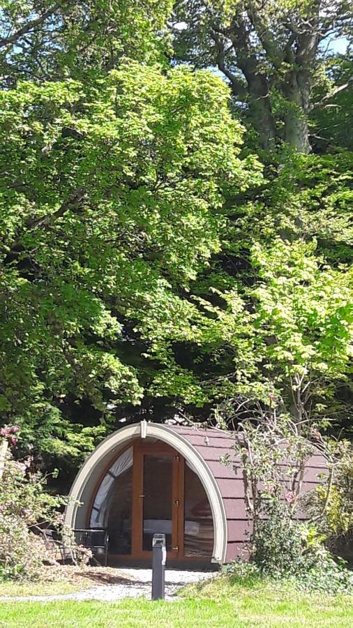 Priory Glamping Pods And Guest Accommodation Killarney Buitenkant foto