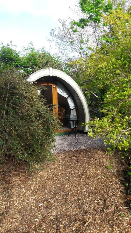 Priory Glamping Pods And Guest Accommodation Killarney Buitenkant foto